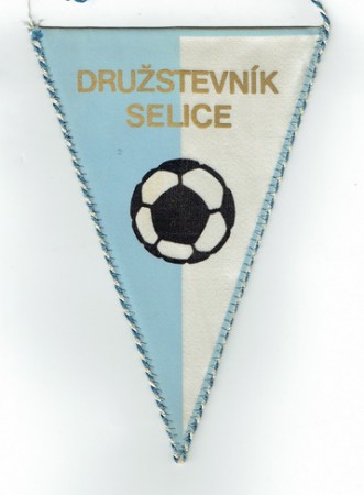 TJ Družstevník Selice