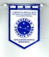 /album/belo-horizonte-cruzeiro/cci14062016-0010-resize-jpg1/