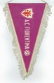 /album/fiorentina-ac/cci18062016-0107-resize-resize-jpg/