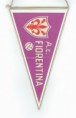 /album/fiorentina-ac/cci18062016-0108-resize-resize-jpg/