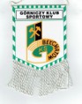 /album/belchatow/cci2242018-0020-resize-jpg/