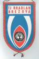 /album/brezova-pod-bradlom/cci22032020-0001-resize-jpg9/