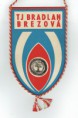 /album/brezova-pod-bradlom/cci22032020-0002-resize-jpg8/