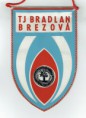 /album/brezova-pod-bradlom/cci22032020-0004-resize-jpg4/