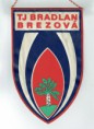 /album/brezova-pod-bradlom/cci22032020-resize-jpg18/