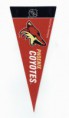 /album/phoenix-coyotes/cci14062016-0035-resize-resize-jpg/