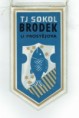 /album/brodek-u-prostejova/cci28012021-resize-jpg1/