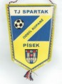 /album/pisek/cci30012021-resize-jpg65/