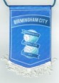 /album/birminagham-city/cci21032021-resize-jpg3/