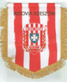 /album/rzeszow-resovia/cci05072024-resize-jpg3/